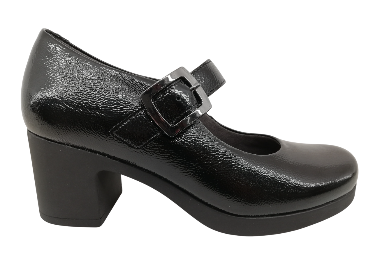 Zapato Mujer Pitillos 30100 Negro